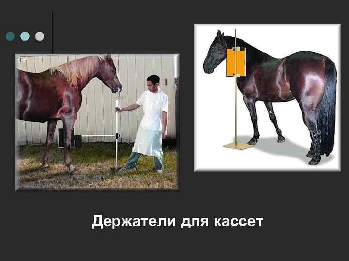 Держатели для кассет 