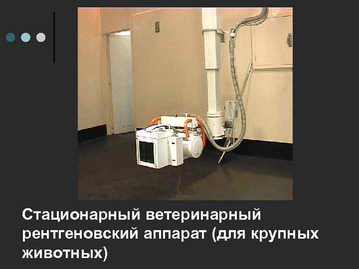 Стационарный ветеринарный рентгеновский аппарат (для крупных животных) 