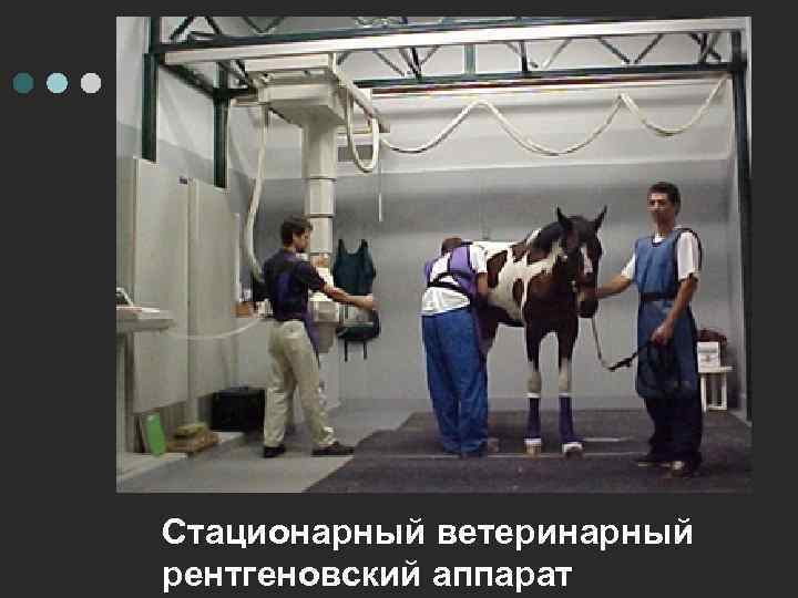 Стационарный ветеринарный рентгеновский аппарат 