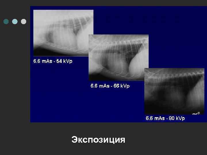 Экспозиция 