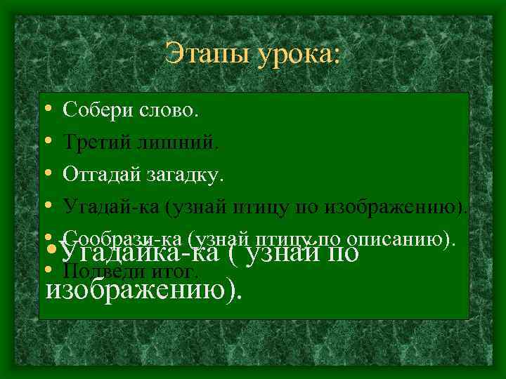 Этапы урока: • Собери слово. • Третий лишний. • Отгадай загадку. • Угадай-ка (узнай