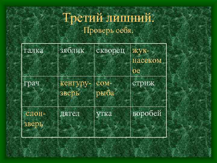 Третий лишний. Проверь себя. галка грач слонзверь зяблик скворец жукнасеком ое кенгуру- сомстриж зверь