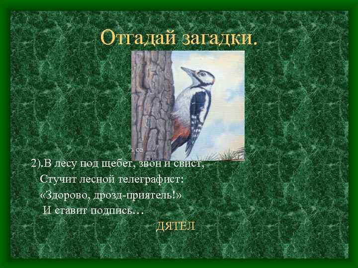 Отгадай загадки. 2). В лесу под щебет, звон и свист, Стучит лесной телеграфист: «Здорово,
