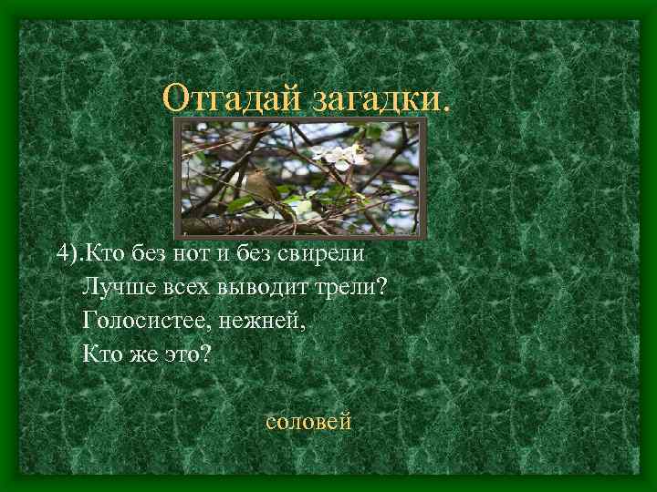 Отгадай загадки. 4). Кто без нот и без свирели Лучше всех выводит трели? Голосистее,