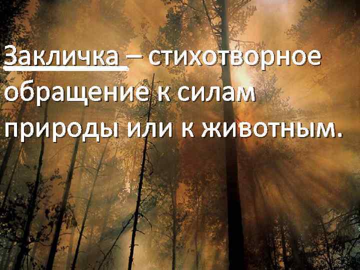Закличка – стихотворное обращение к силам природы или к животным. 