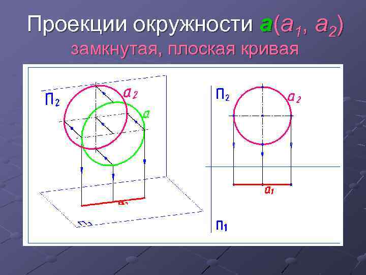 Построить проекцию окружности. Комплексный чертеж окружности. Проекция окружности. Проецирование окружности. Фронтальная проекция круга.