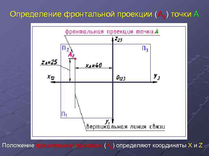 Определение фронтальной проекции (А 2) точки А Положение фронтальной проекции (А 2) определяют координаты