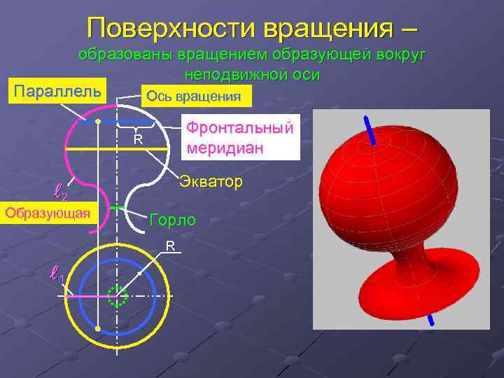 Поверхности вращения – образованы вращением образующей вокруг неподвижной оси Параллель Ось вращения Фронтальный меридиан