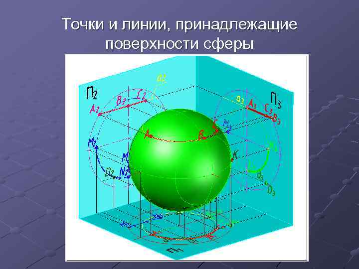 Точки и линии, принадлежащие поверхности сферы 