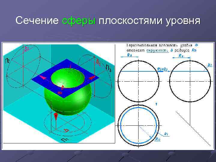 Сечение сферы плоскостями уровня 