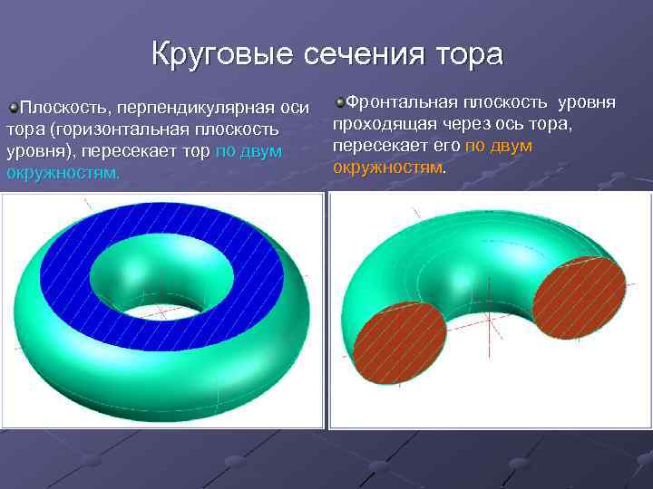 Круговые сечения тора Плоскость, перпендикулярная оси тора (горизонтальная плоскость уровня), пересекает тор по двум