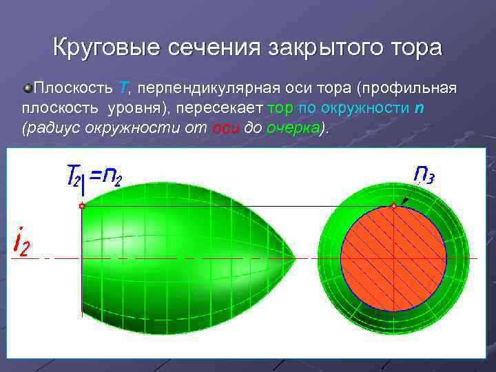 Круговые сечения закрытого тора Плоскость Т, перпендикулярная оси тора (профильная плоскость уровня), пересекает тор