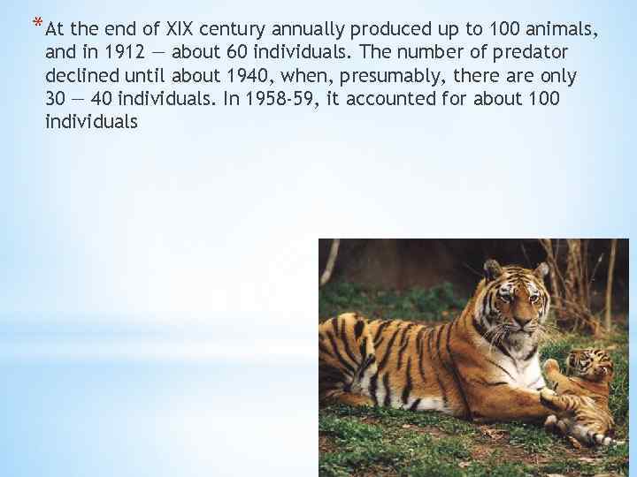 *At the end of XIX century annually produced up to 100 animals, and in