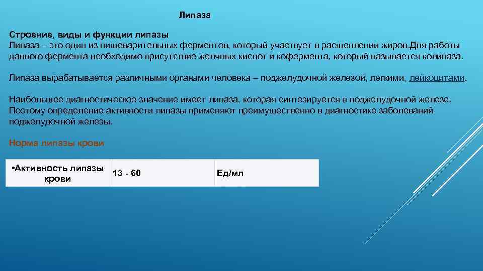 Липаза это. Фермент липаза функция. Липаза функции. Диагностическое значение липазы. Липаза строение и функции.