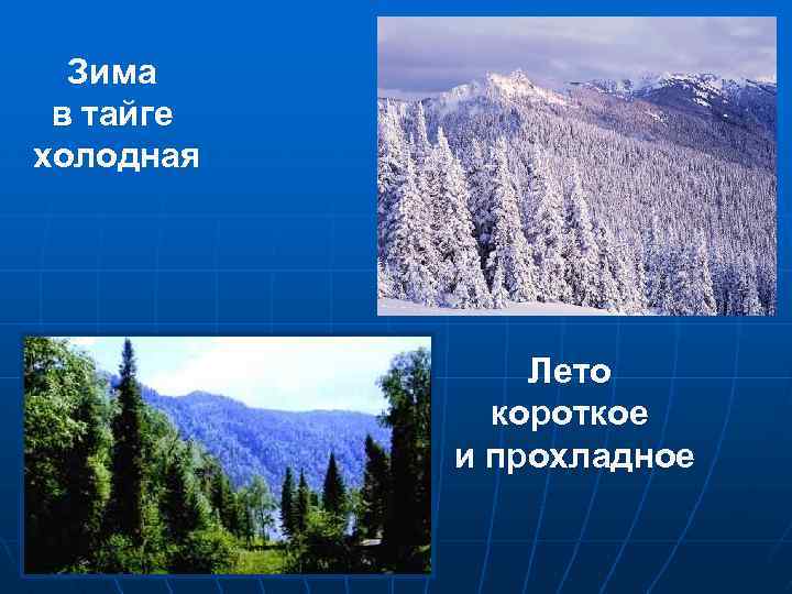 План изучения тайги окружающий мир 4 класс