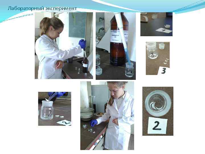 Лабораторный эксперимент 