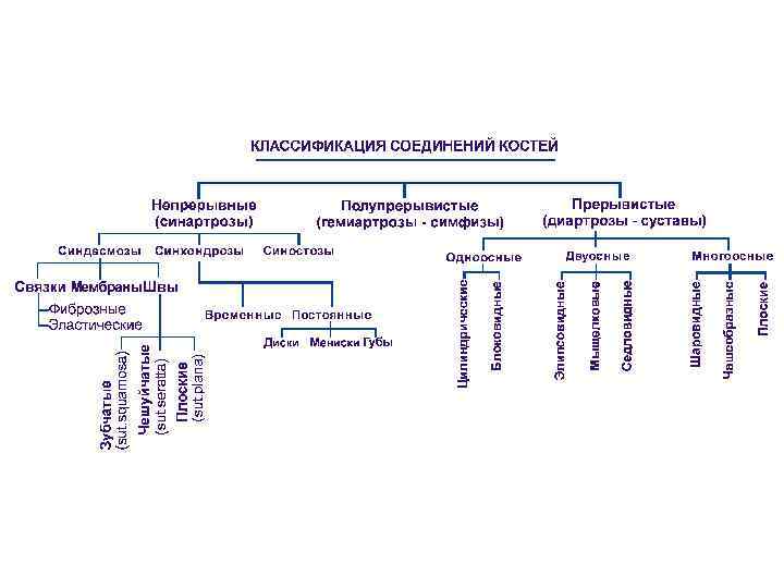 Электронная схема классификация