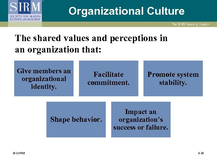 Organizational Culture The shared values and perceptions in an organization that: Give members an