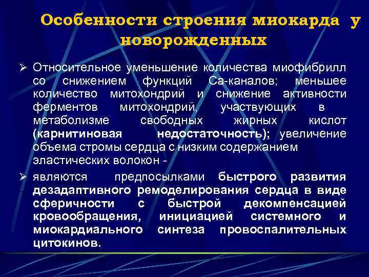 Особенности строения миокарда у новорожденных Ø Относительное уменьшение количества миофибрилл со снижением функций Са-каналов;