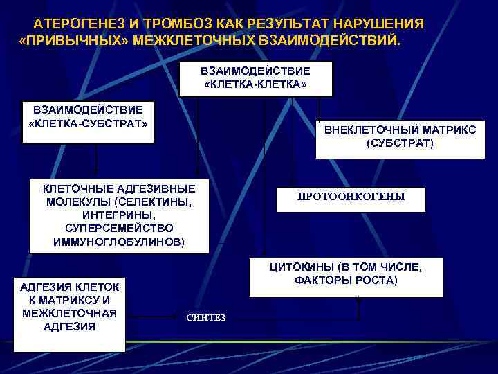 АТЕРОГЕНЕЗ И ТРОМБОЗ КАК РЕЗУЛЬТАТ НАРУШЕНИЯ «ПРИВЫЧНЫХ» МЕЖКЛЕТОЧНЫХ ВЗАИМОДЕЙСТВИЙ. ВЗАИМОДЕЙСТВИЕ «КЛЕТКА-КЛЕТКА» ВЗАИМОДЕЙСТВИЕ «КЛЕТКА-СУБСТРАТ» ВНЕКЛЕТОЧНЫЙ