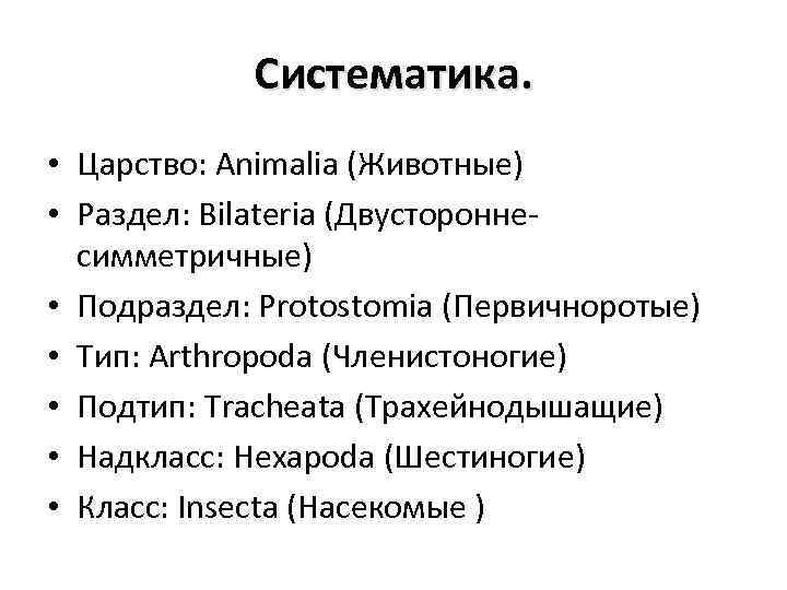 Систематика. • Царство: Animalia (Животные) • Раздел: Bilateria (Двустороннесимметричные) • Подраздел: Protostomia (Первичноротые) •