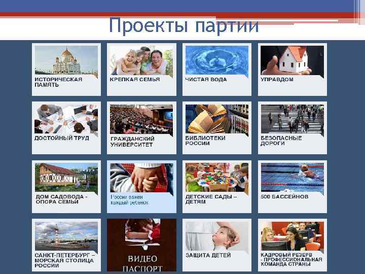 Проекты партии 
