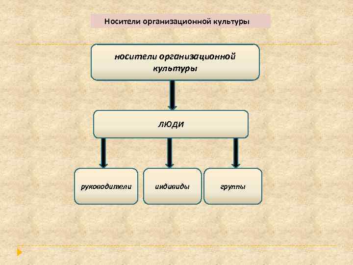 Носители организационной культуры носители организационной культуры ЛЮДИ руководители индивиды группы 