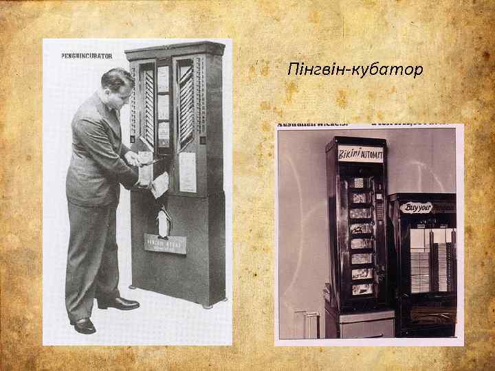 Пінгвін-кубатор 