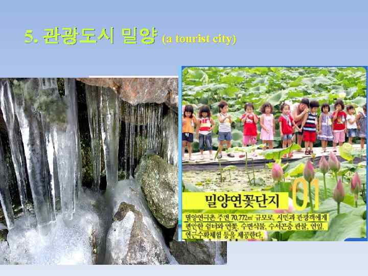 5. 관광도시 밀양 (a tourist city) 