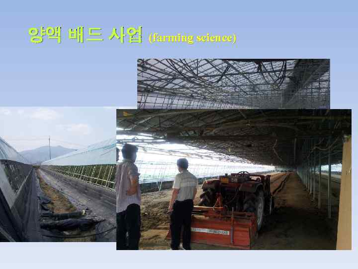 양액 배드 사업 (farming science) 