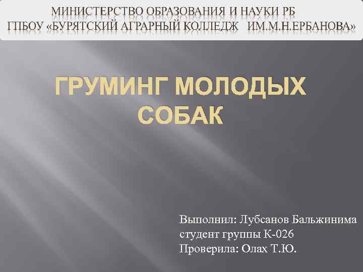 ГРУМИНГ МОЛОДЫХ СОБАК Выполнил: Лубсанов Бальжинима студент группы К-026 Проверила: Олах Т. Ю. 