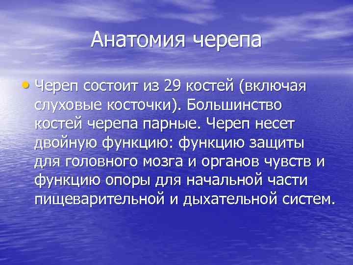 Анатомия черепа • Череп состоит из 29 костей (включая слуховые косточки). Большинство костей черепа