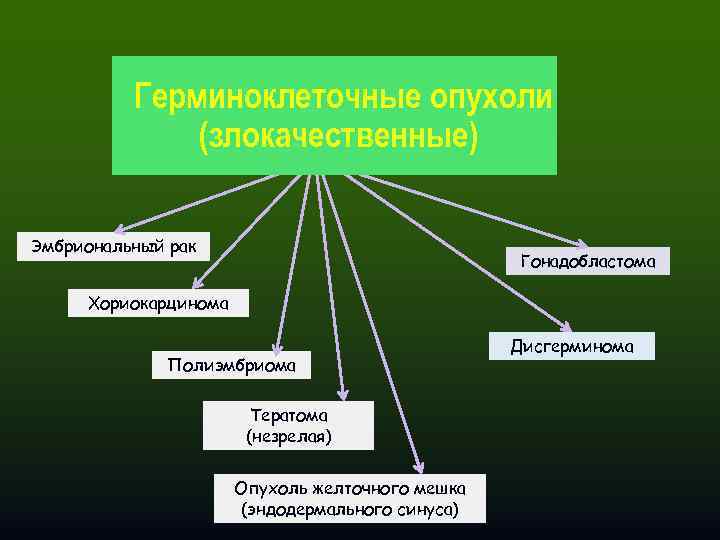 Герминоклеточные опухоли (злокачественные) Эмбриональный рак Гонадобластома Хориокарцинома Полиэмбриома Тератома (незрелая) Опухоль желточного мешка (эндодермального