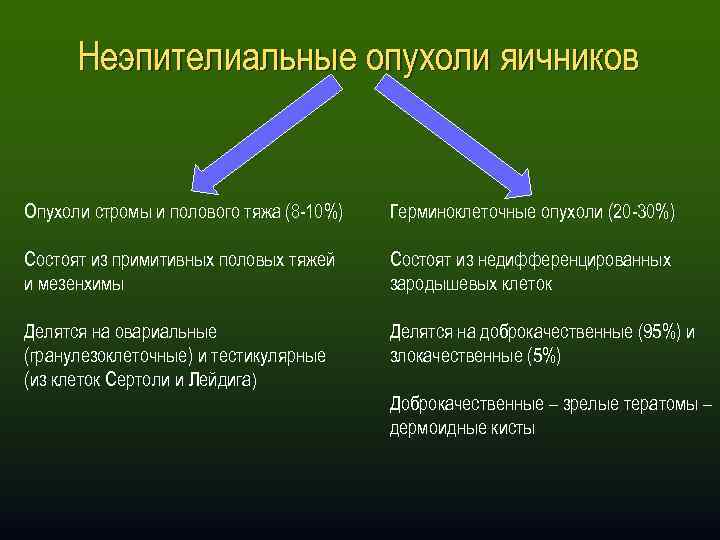Неэпителиальные опухоли яичников Опухоли стромы и полового тяжа (8 -10%) Герминоклеточные опухоли (20 -30%)