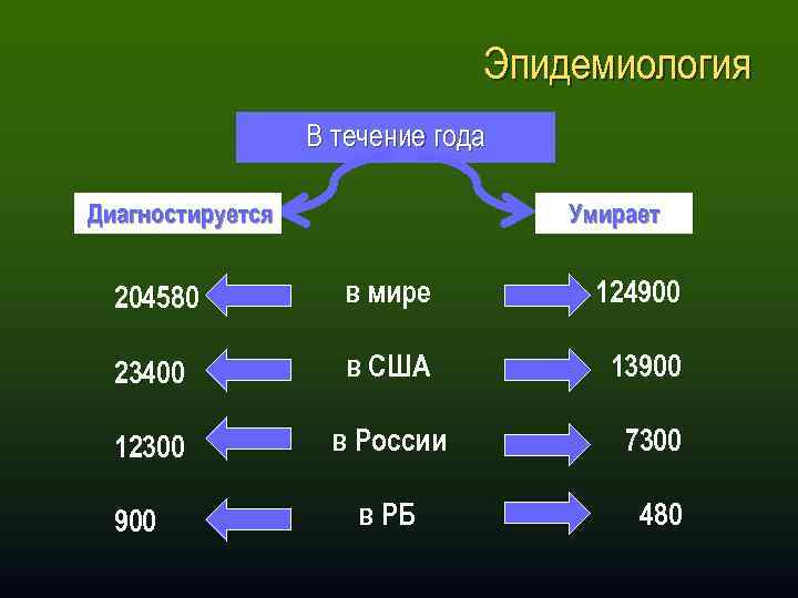 Эпидемиология В течение года Диагностируется Умирает 204580 в мире 124900 23400 в США 13900