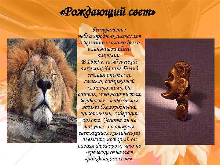  «Рождающий свет» Превращение неблагородных металлов в желанное золото было навязчивой идеей алхимии. В