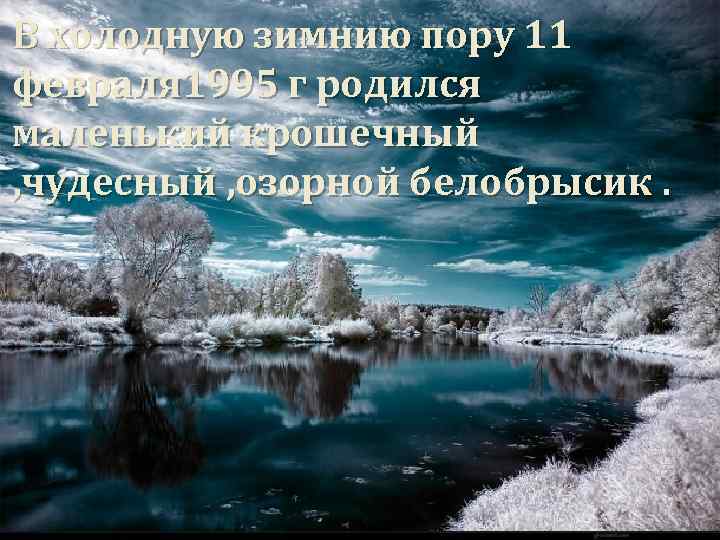 В холодную зимнию пору 11 февраля 1995 г родился маленький крошечный , чудесный ,