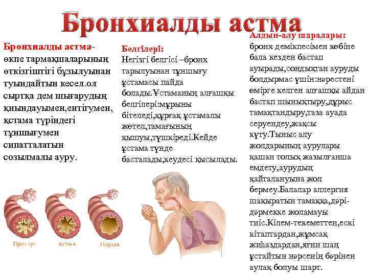 Бронхиалды астмаөкпе тармақшаларының өткізгіштігі бұзылуынан туындайтын кесел. ол сыртқа дем шығарудың қиындауымен, ентігумен, қстама