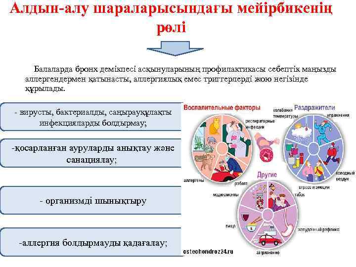 Балалардағы бронх демікпесі презентация