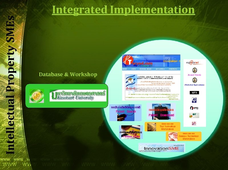 Intellectual Property SMEs Integrated Implementation Database & Workshop 