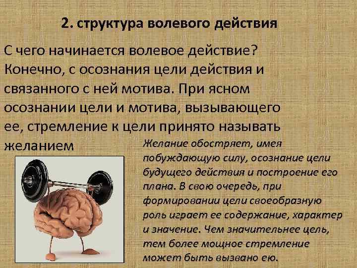 Действие началось. Структура волевого действия. Структурные компоненты волевых действий. Структура волевого действия в психологии. Физиологические и Мотивационные аспекты волевых действий.