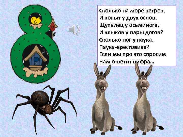 Сколько на море ветров, И копыт у двух ослов, Щупалец у осьминога, И клыков