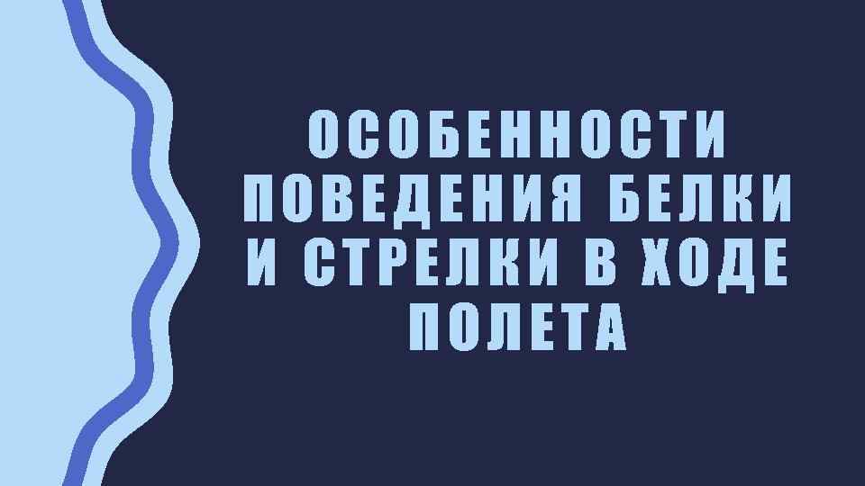 ОСОБЕННОСТИ ПОВЕДЕНИЯ БЕЛКИ И СТРЕЛКИ В ХОДЕ ПОЛЕТА 