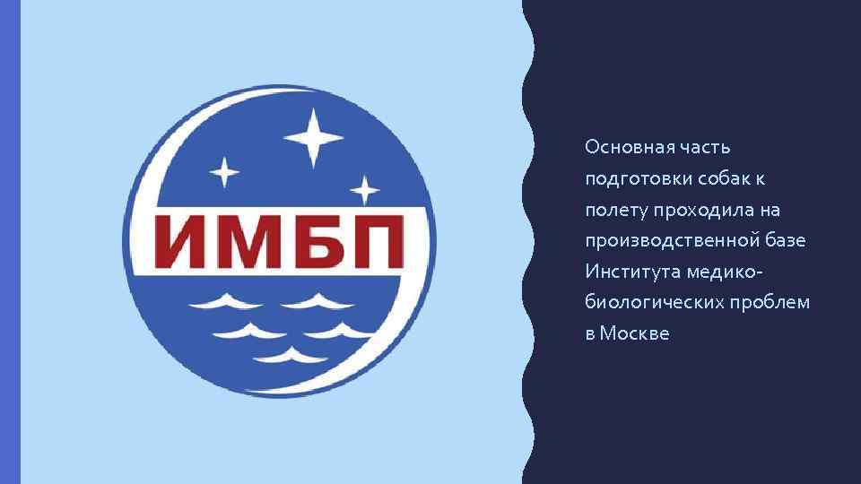 Основная часть подготовки собак к полету проходила на производственной базе Института медикобиологических проблем в