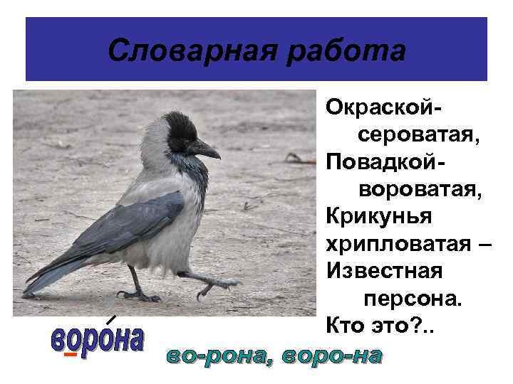 Словарная работа Окраскойсероватая, Повадкойвороватая, Крикунья хрипловатая – Известная персона. Кто это? . . 