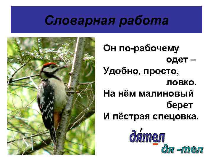 Словарная работа Он по-рабочему одет – Удобно, просто, ловко. На нём малиновый берет И