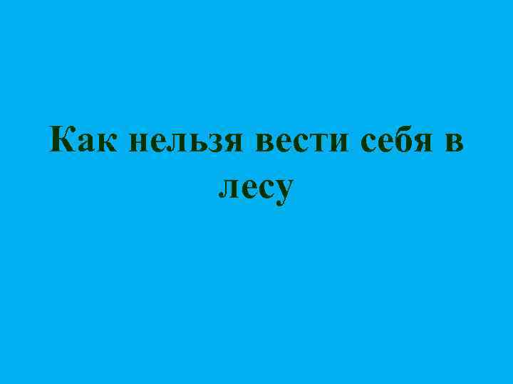 Как нельзя вести себя в лесу 