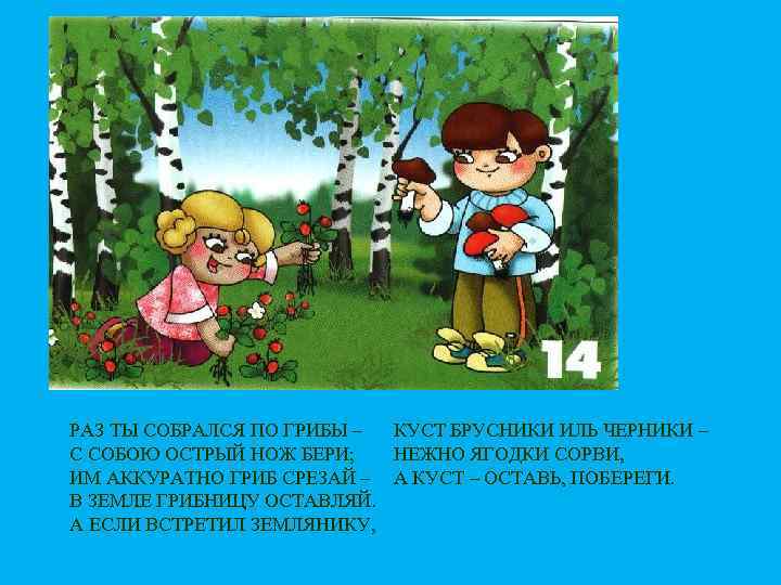 КУСТ БРУСНИКИ ИЛЬ ЧЕРНИКИ – РАЗ ТЫ СОБРАЛСЯ ПО ГРИБЫ – С СОБОЮ ОСТРЫЙ