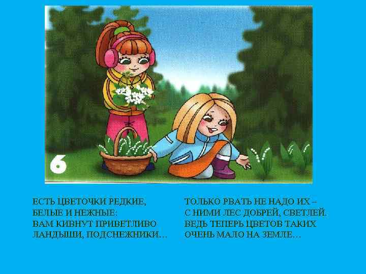 ЕСТЬ ЦВЕТОЧКИ РЕДКИЕ, БЕЛЫЕ И НЕЖНЫЕ: ВАМ КИВНУТ ПРИВЕТЛИВО ЛАНДЫШИ, ПОДСНЕЖНИКИ… ТОЛЬКО РВАТЬ НЕ