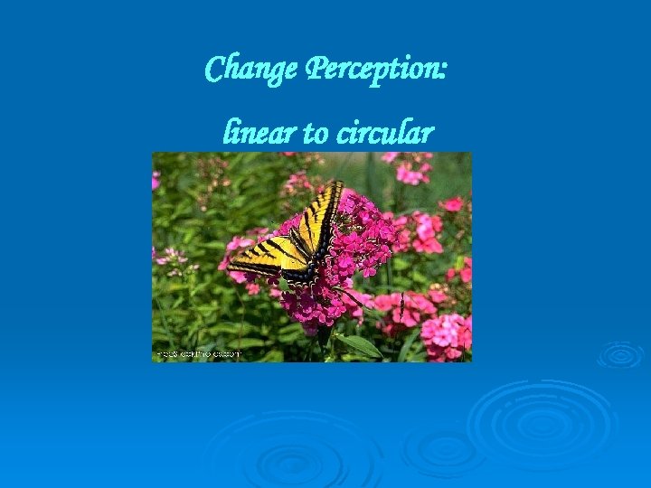 Change Perception: linear to circular 